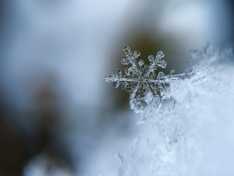 snowflake up close shot